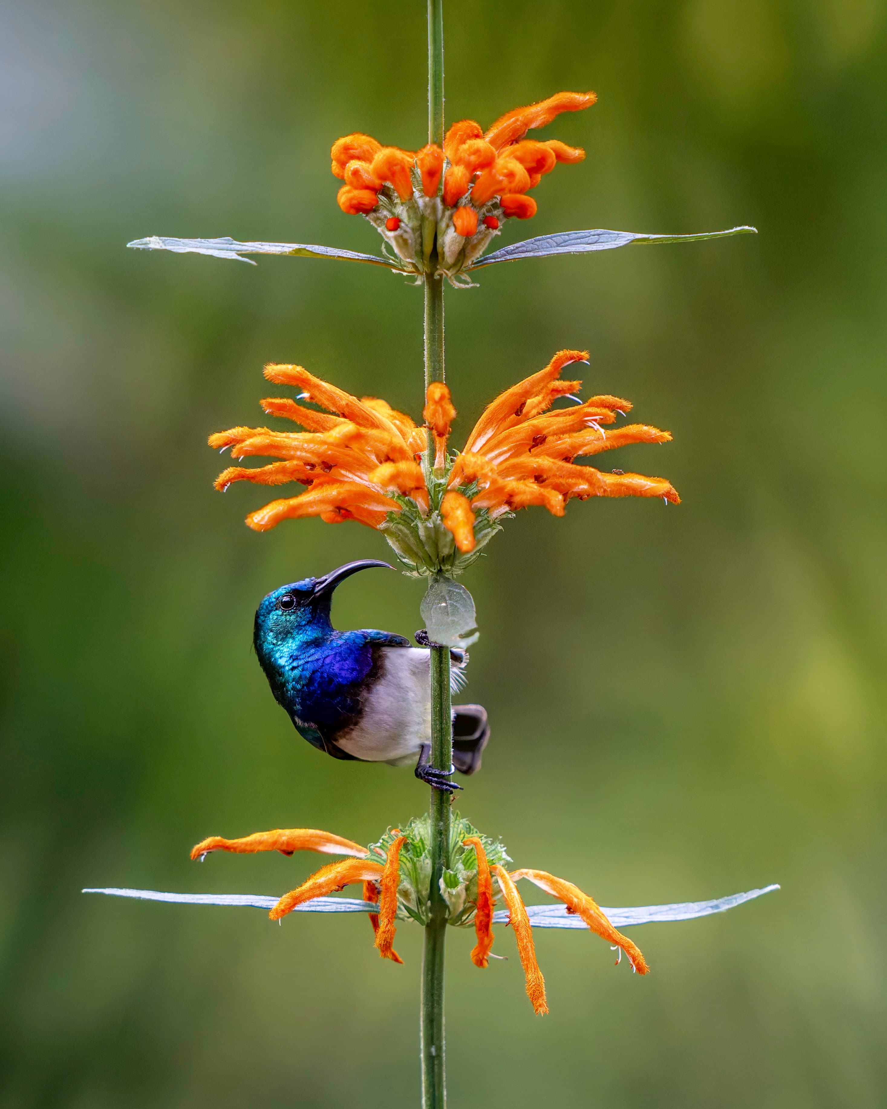 Photography Tours
